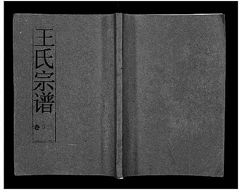 [王]王氏宗谱_12卷首3卷 (湖北) 王氏家谱_三.pdf