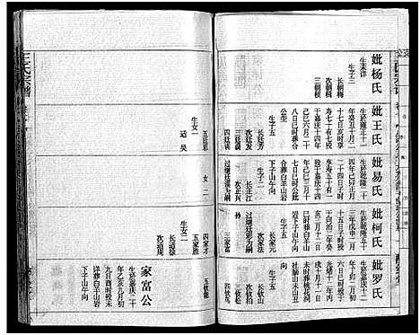 [王]王氏宗谱_12卷首3卷 (湖北) 王氏家谱_九.pdf