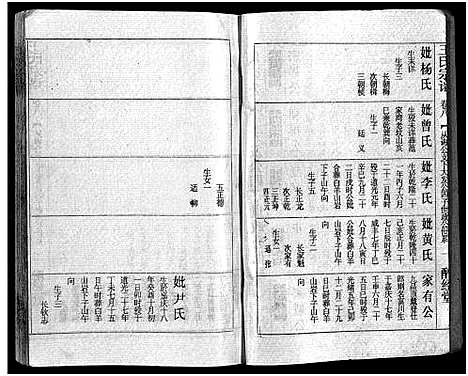 [王]王氏宗谱_12卷首3卷 (湖北) 王氏家谱_十一.pdf