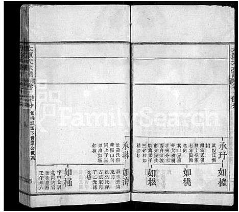 [王]太原_王氏_族谱_13卷首3卷-太原天水谱_王氏续修族谱 (湖北) 太原(王氏)家谱_十四.pdf