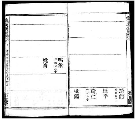 [魏]魏氏宗谱 (湖北) 魏氏家谱.pdf