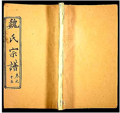 [魏]魏氏宗谱 (湖北) 魏氏家谱_十六.pdf