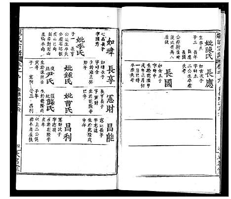 [魏]魏氏宗谱 (湖北) 魏氏家谱_九.pdf