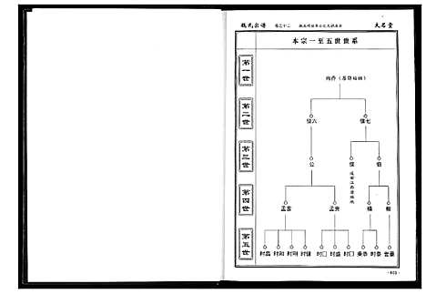 [魏]魏氏宗谱 (湖北) 魏氏家谱_十三.pdf