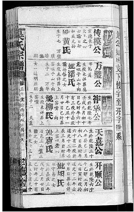 [吴]吴氏宗谱_65卷首4卷 (湖北) 吴氏家谱_三十八.pdf