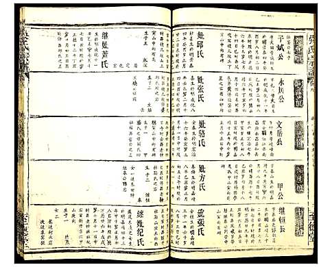 [吴]吴氏宗谱 (湖北) 吴氏家谱_十二.pdf