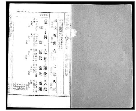 [吴]吴氏宗谱 (湖北) 吴氏家谱_十二.pdf