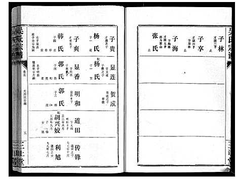 [吴]吴氏宗谱_9卷首3卷续谱卷1卷 (湖北) 吴氏家谱_九.pdf