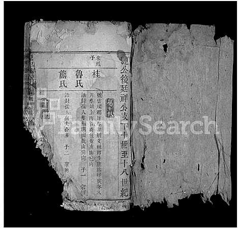 [吴]吴氏族谱_卷数不详-Wu Shi_吴氏族谱_Wu Family Genealogy from Macheng Hubei Province China (湖北) 吴氏家谱_六.pdf