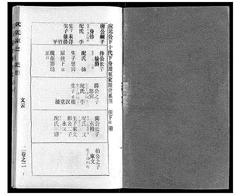 [武]武氏家史 (湖北) 武氏家史_一.pdf