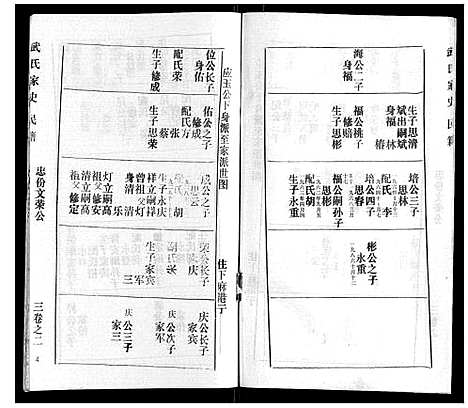 [武]武氏家史 (湖北) 武氏家史_二.pdf