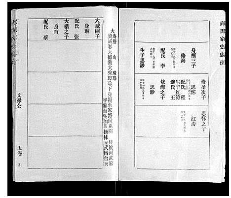 [武]武氏家史 (湖北) 武氏家史_四.pdf