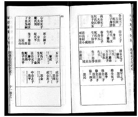 [武]武氏家史 (湖北) 武氏家史_十一.pdf