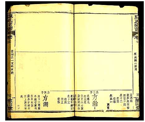 [夏]夏氏宗谱 (湖北) 夏氏家谱_九.pdf