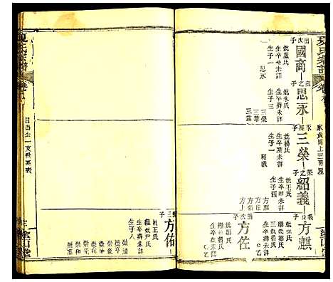 [夏]夏氏宗谱 (湖北) 夏氏家谱_十一.pdf