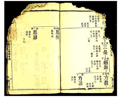 [夏]夏氏宗谱 (湖北) 夏氏家谱_十五.pdf