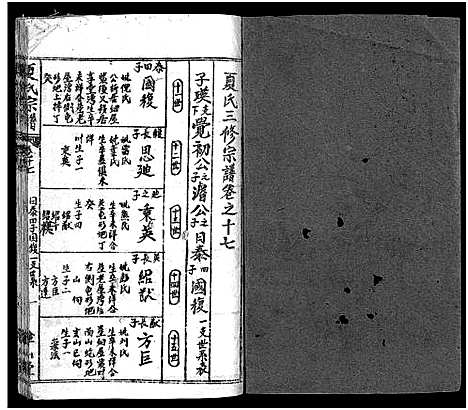 [夏]夏氏宗谱_17卷首2卷-夏氏宗谱：子珑子瑛二公世系 (湖北) 夏氏家谱_十八.pdf