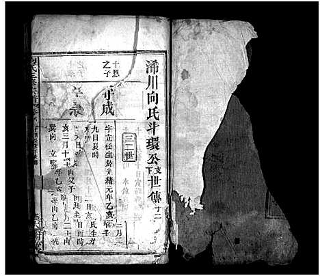 [向]向氏三修宗谱_10卷首8卷-Xiang Shi (湖北) 向氏三修家谱_十六.pdf