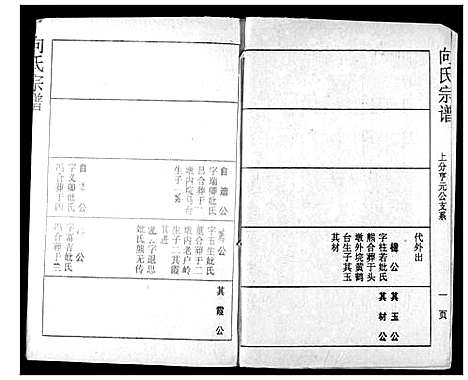 [向]向氏宗谱 (湖北) 向氏家谱_二十.pdf