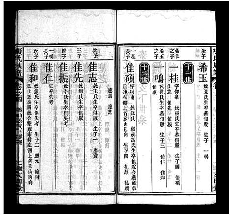 [项]项氏族谱_10卷_含首1卷 (湖北) 项氏家谱_五.pdf