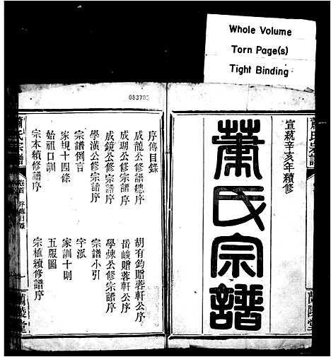 [萧]萧氏宗谱_10卷首1卷 (湖北) 萧氏家谱.pdf