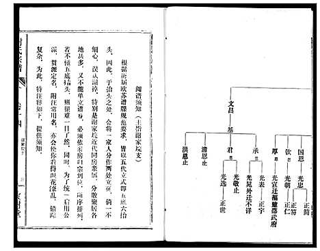 [谢]谢氏宗谱 (湖北) 谢氏家谱_十四.pdf