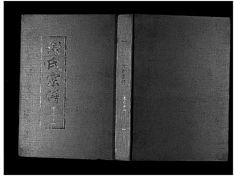 [谢]谢氏宗谱 (湖北) 谢氏家谱_十一.pdf