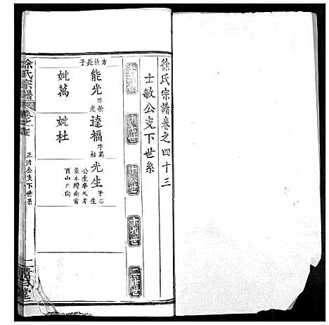 [徐]徐氏宗谱 (湖北) 徐氏家谱_四十五.pdf