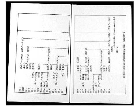 [严]严氏宗谱 (湖北) 严氏家谱_二.pdf