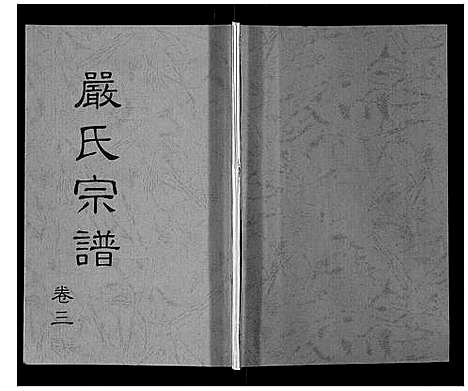 [严]严氏宗谱_3卷 (湖北) 严氏家谱_三.pdf