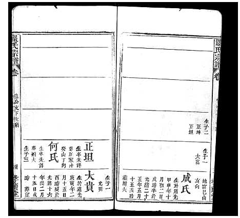 [严]严氏宗谱_不分卷 (湖北) 严氏家谱_八.pdf