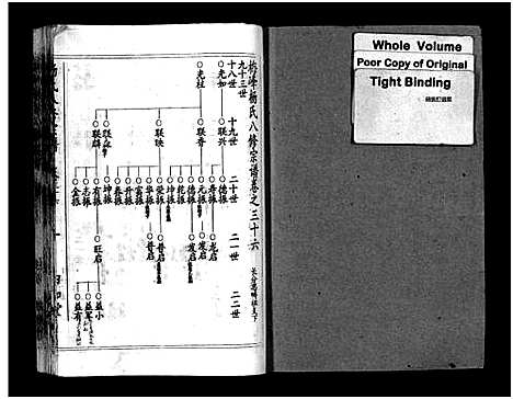 [杨]梅峰杨氏宗谱_Mei Feng Yang Shi_杨氏宗谱_杨氏八修宗谱 (湖北) 梅峰杨氏家谱_十七.pdf