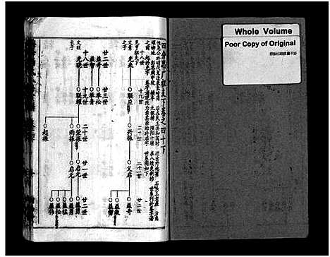 [杨]梅峰杨氏宗谱_Mei Feng Yang Shi_杨氏宗谱_杨氏八修宗谱 (湖北) 梅峰杨氏家谱_十九.pdf