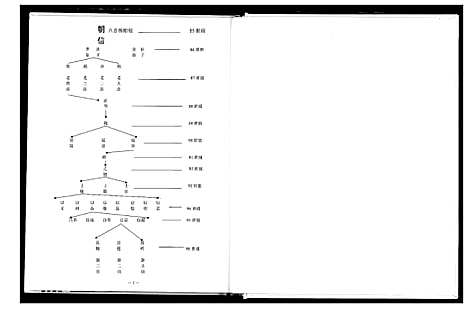 [杨]杨氏大成宗谱 (湖北) 杨氏大成家谱_二.pdf