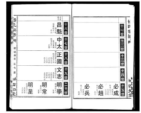 [杨]杨氏宗谱 (湖北) 杨氏家谱_九.pdf