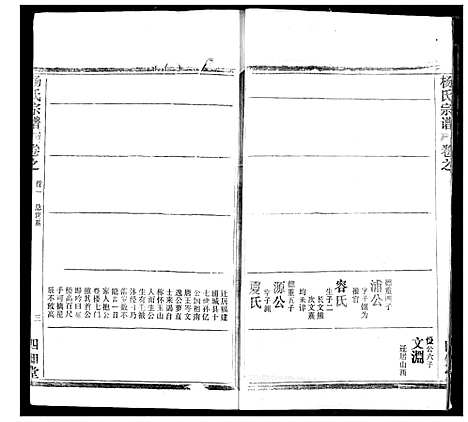 [杨]杨氏宗谱 (湖北) 杨氏家谱_五.pdf