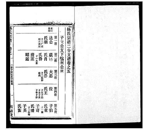 [杨]杨氏宗谱 (湖北) 杨氏家谱_十二.pdf