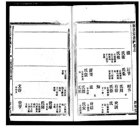 [杨]杨氏宗谱 (湖北) 杨氏家谱_十二.pdf