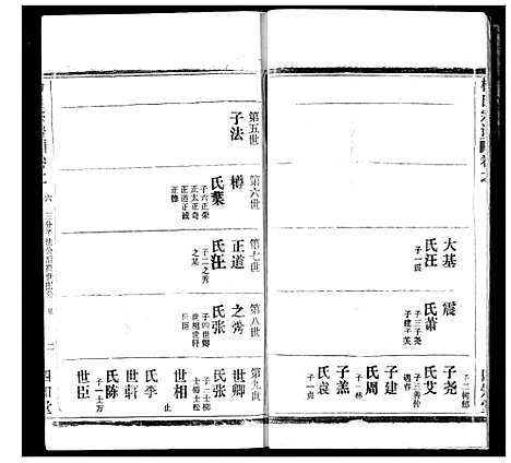 [杨]杨氏宗谱 (湖北) 杨氏家谱_十九.pdf