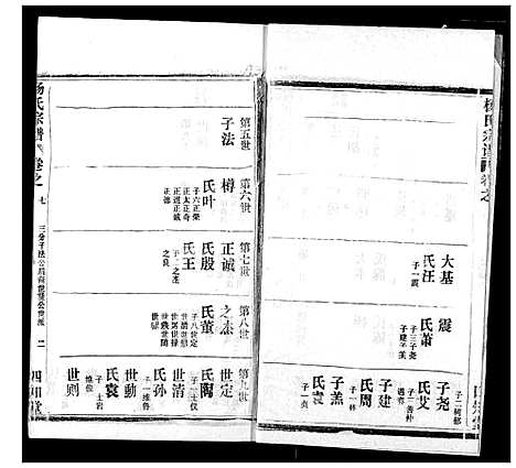 [杨]杨氏宗谱 (湖北) 杨氏家谱_二十.pdf