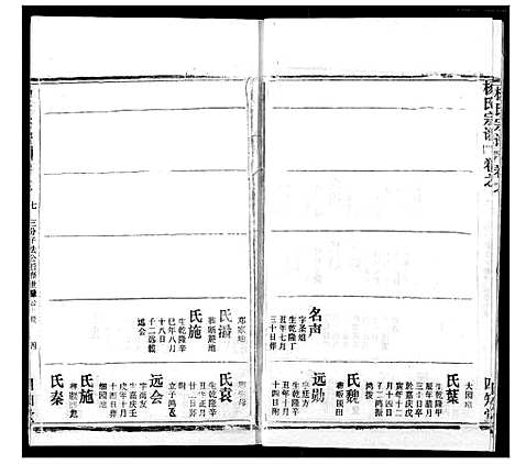 [杨]杨氏宗谱 (湖北) 杨氏家谱_二十.pdf