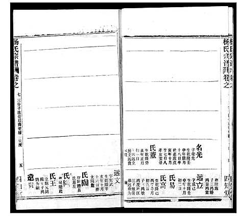 [杨]杨氏宗谱 (湖北) 杨氏家谱_二十.pdf