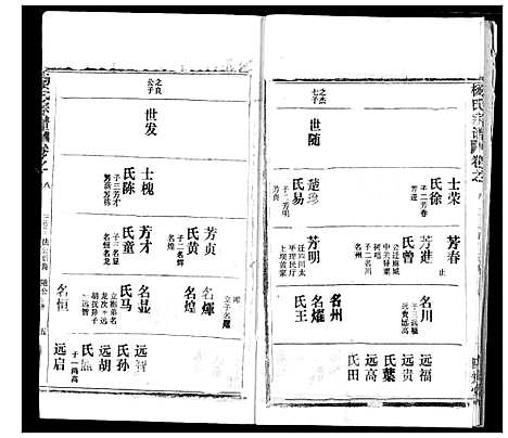 [杨]杨氏宗谱 (湖北) 杨氏家谱_二十一.pdf