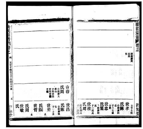 [杨]杨氏宗谱 (湖北) 杨氏家谱_二十七.pdf