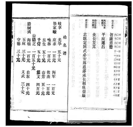 [杨]杨氏宗谱 (湖北) 杨氏家谱_三十六.pdf