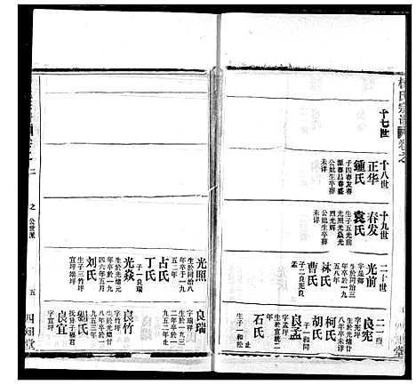 [杨]杨氏宗谱 (湖北) 杨氏家谱_三十八.pdf