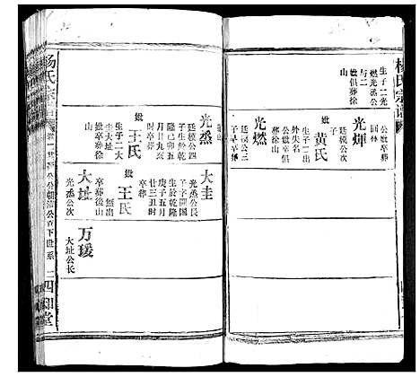 [杨]杨氏宗谱 (湖北) 杨氏家谱_二.pdf