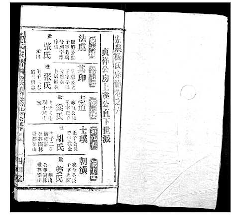 [杨]杨氏宗谱 (湖北) 杨氏家谱_五.pdf