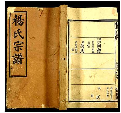 [杨]杨氏宗谱 (湖北) 杨氏家谱_十二.pdf