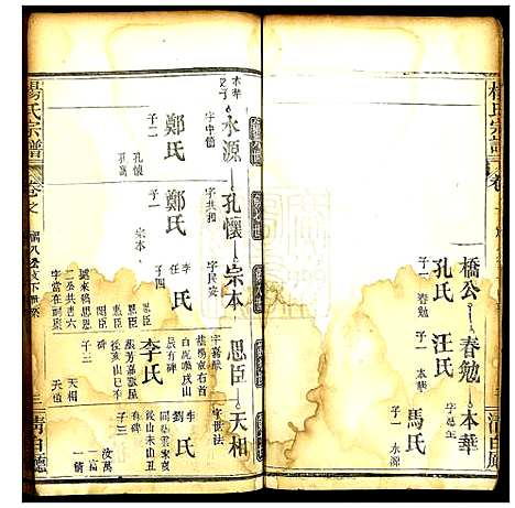 [杨]杨氏宗谱 (湖北) 杨氏家谱_十七.pdf